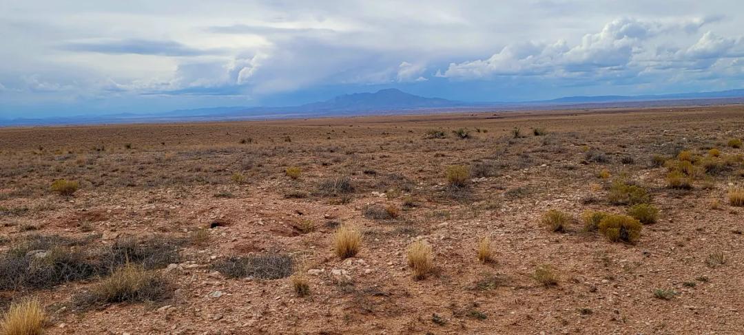 1 acre central New Mexico off the Grid lot