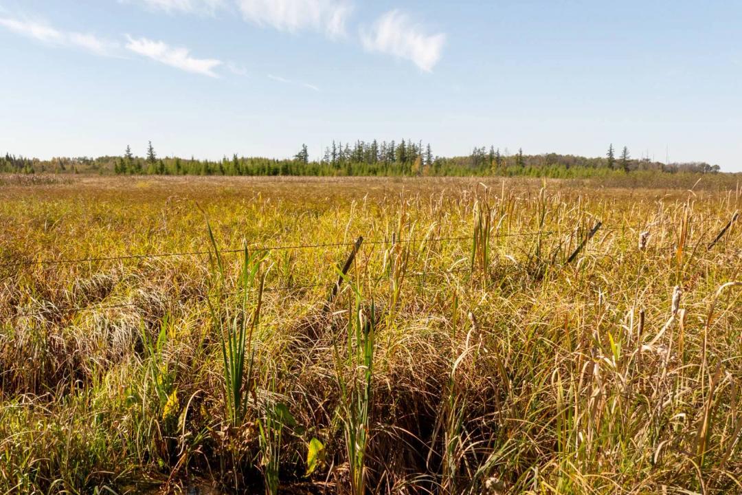 Affordable Acreage Near Mille Lacs - 10% Down Gets You 77!