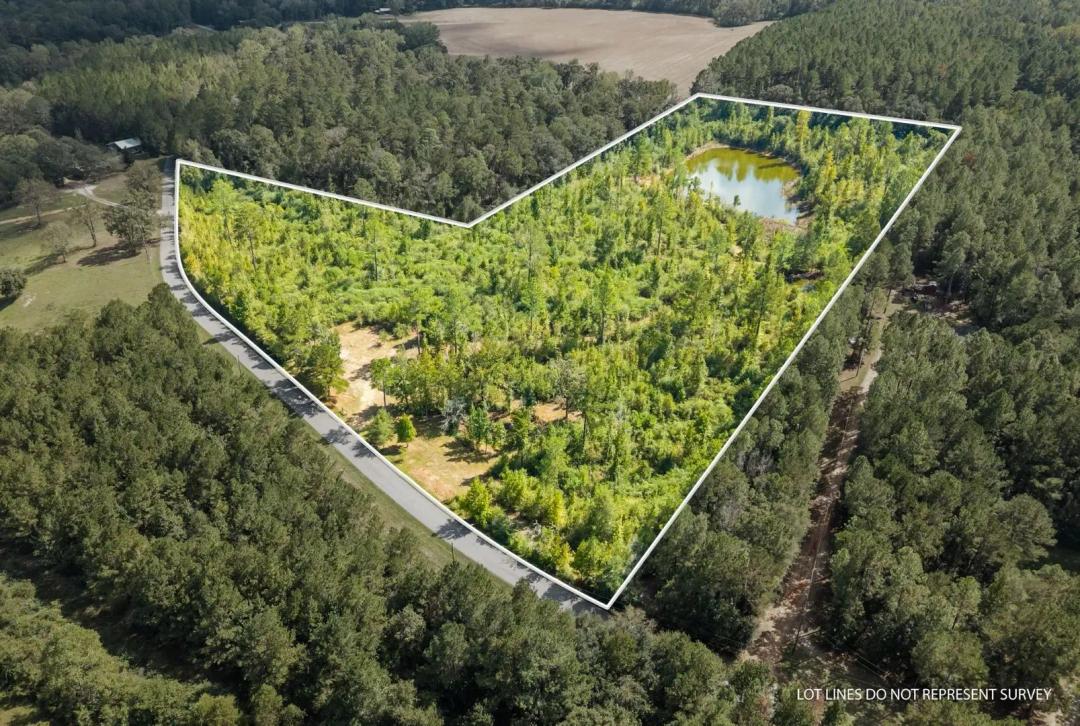15.28 Surveyed Acres, 37 N. Mill Creek Road, Lamar County, MS (Sumrall Area)