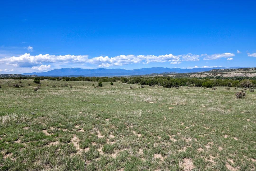 Colorado Ranch For Sale At Auction
