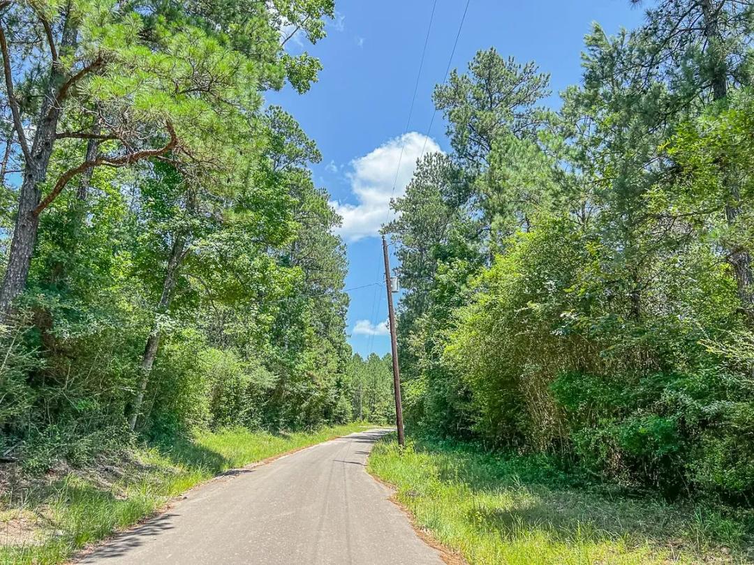 37 Acres | CR 364 | T-1
