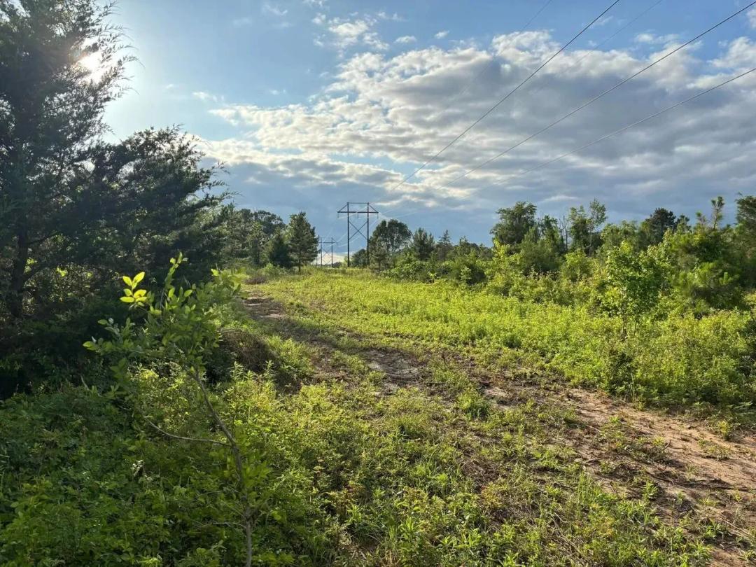 Peaceful 3.7 Acre Tract just North of Valliant, Ok
