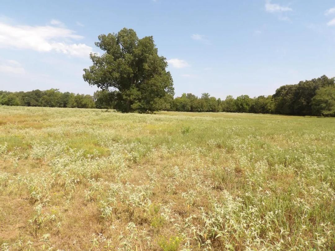 RANCH AND RECREATIONAL 520 ACRES BOSWELL, CHOCTAW CO., OKLA.