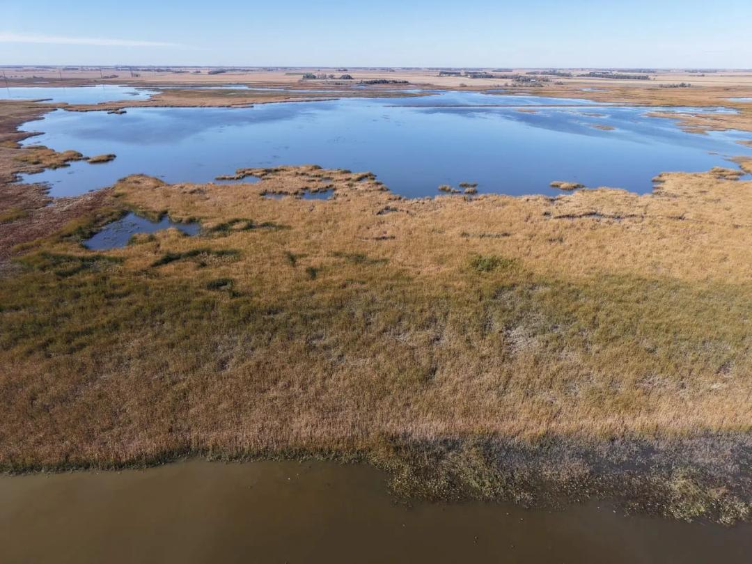 Brown County, SD 79 Acres