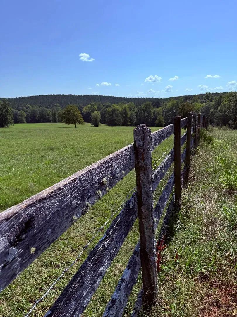 Sunrise Farm - 240 Acres - Wilkes County, GA