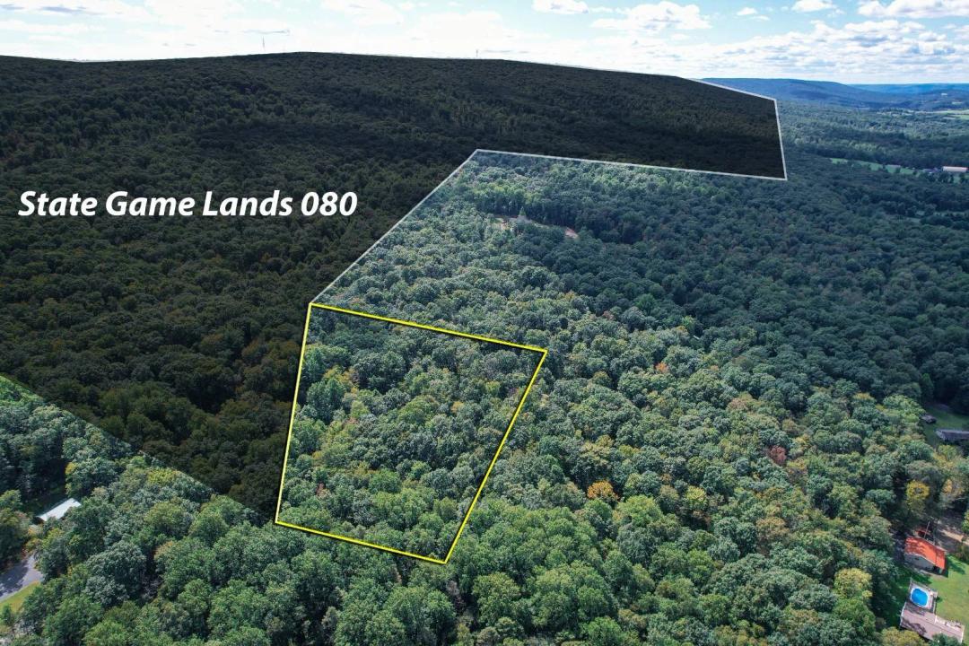 Lot 1 Trophy Drive: Wooded Building Lot Bordering State Game Lan