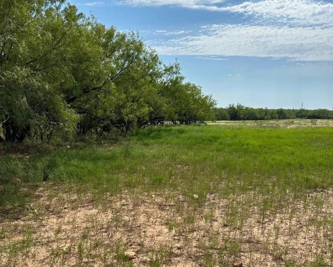 New Listing!! 14+/-Ac, Callahan County
