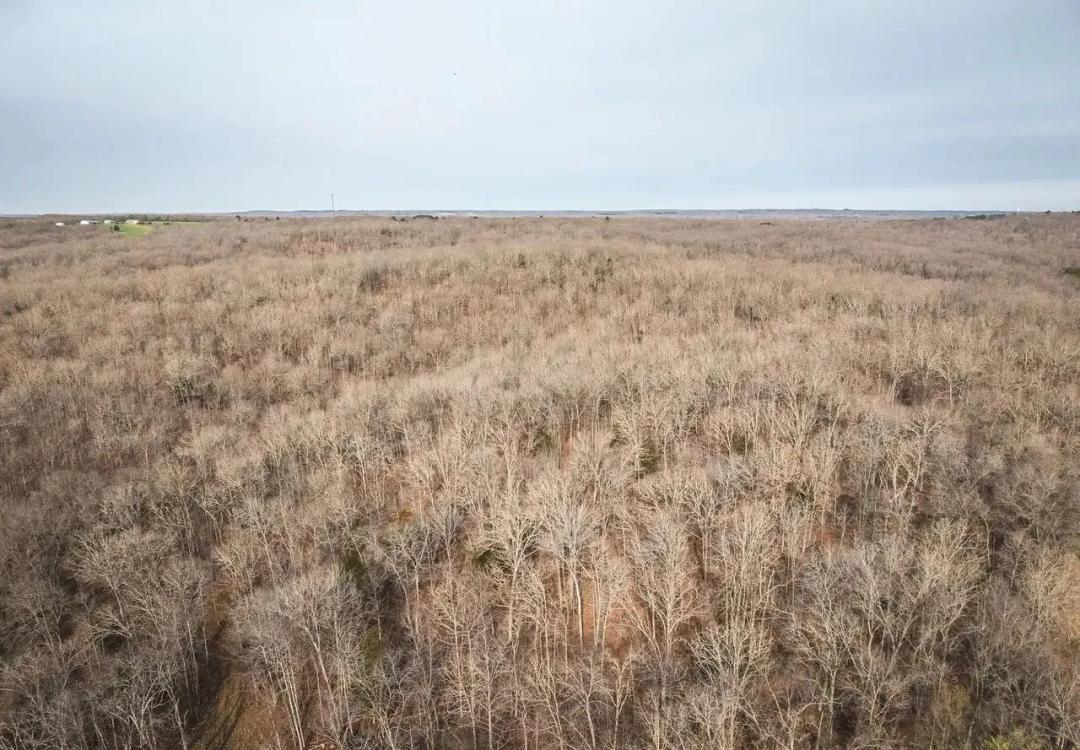 Soaring Eagle Tract 1