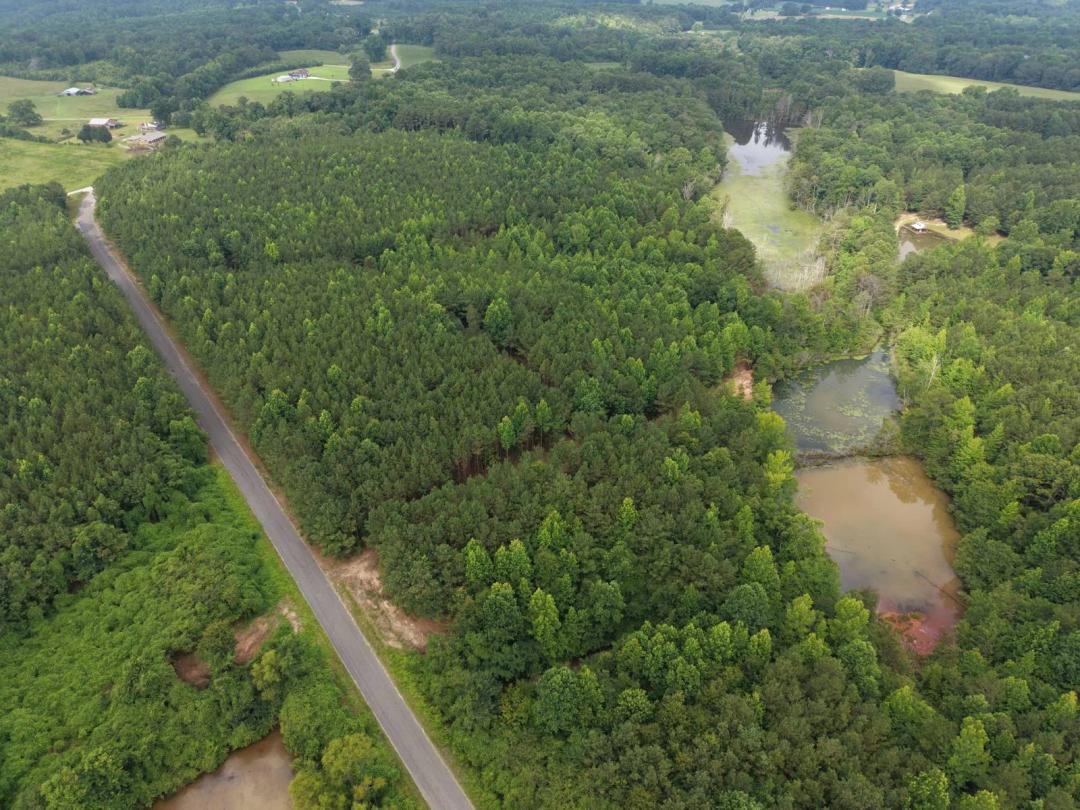 Big Branch Creek, 40 acres in Cullman County