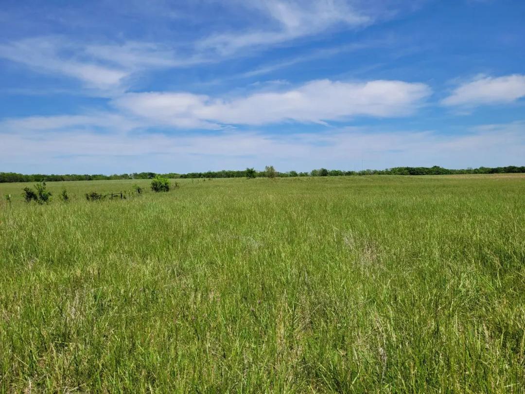30± Acres Open Land w/ Pond Clarksville TX