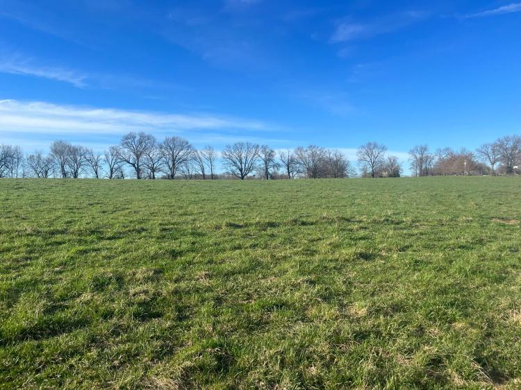 43.12 Acres at TBD State Highway 17