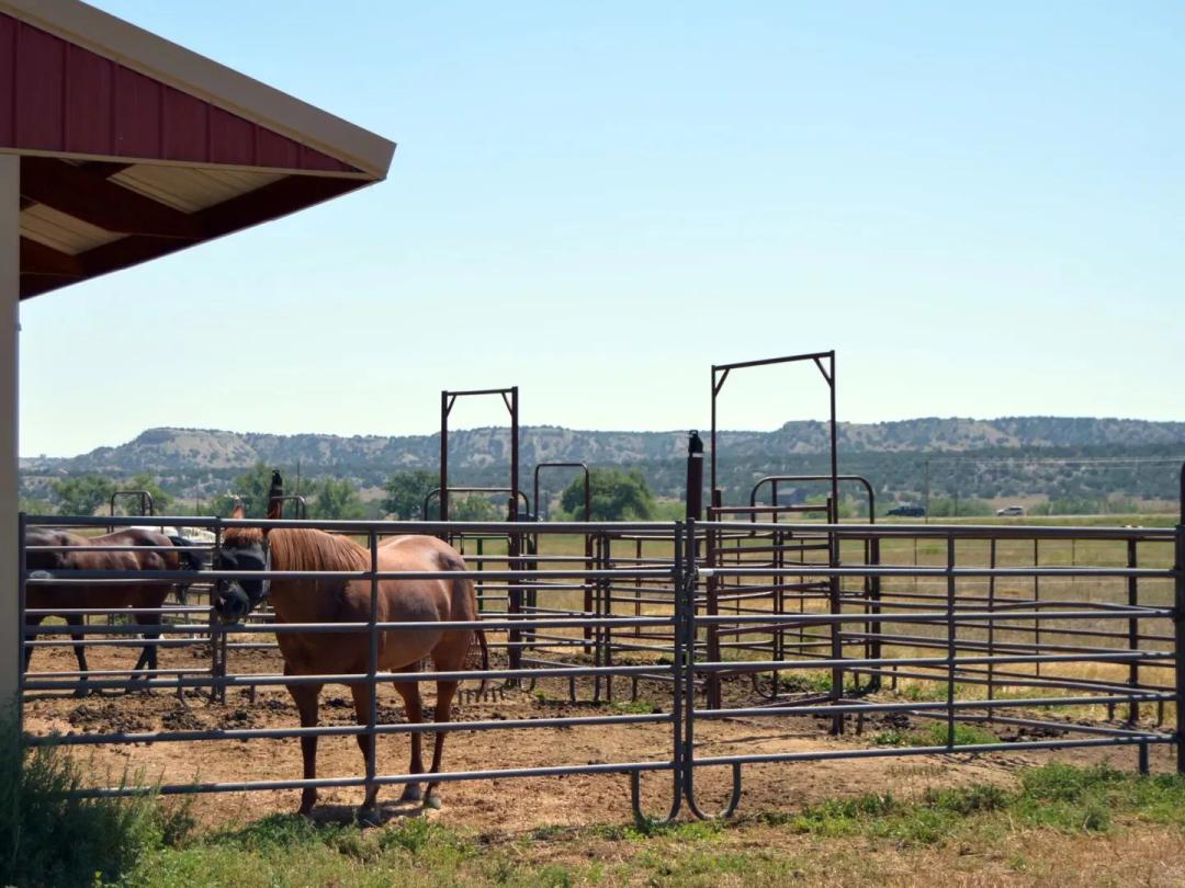 Zoe's Ranch