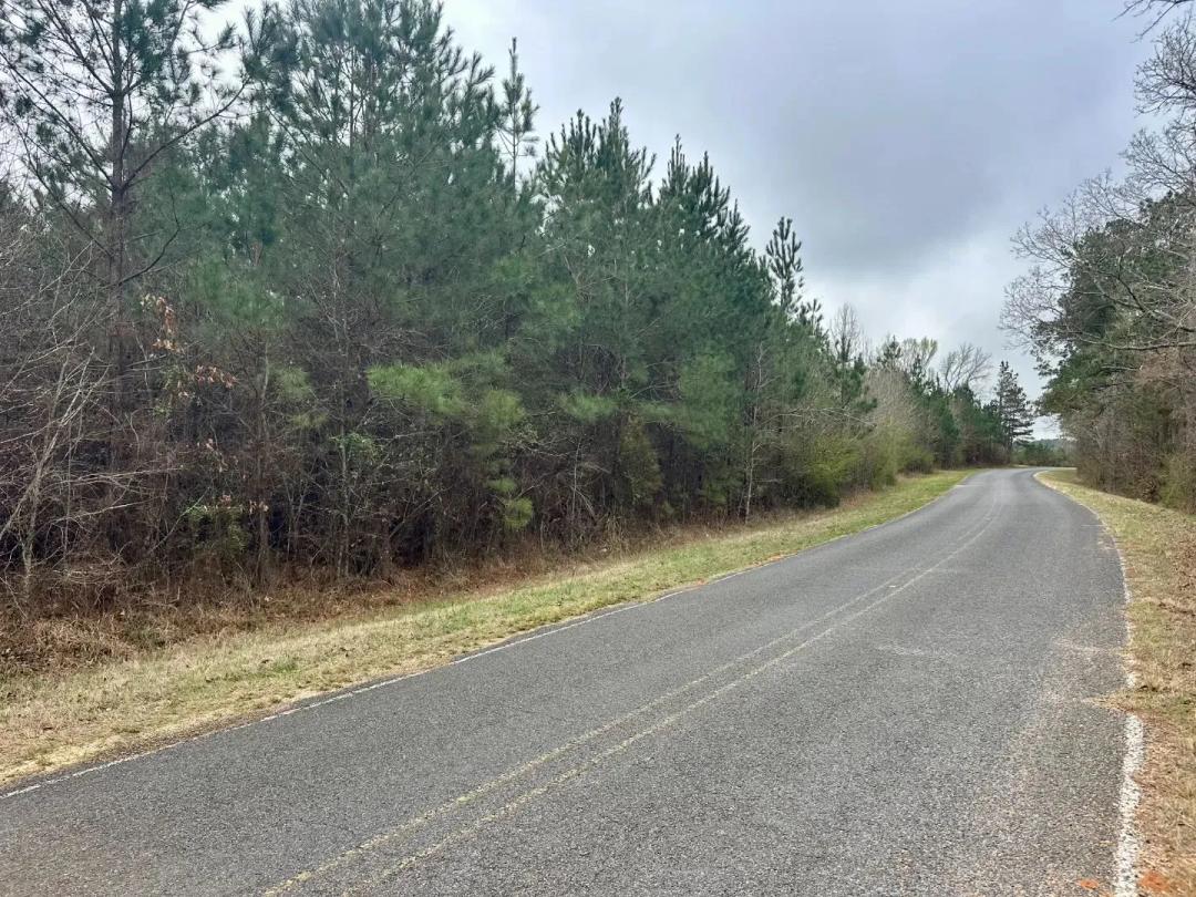 20 Acres in Lincoln County, MS