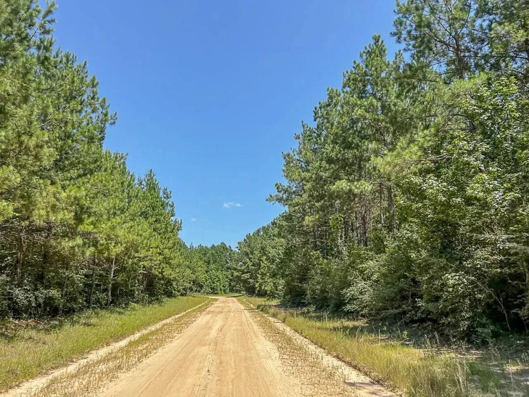 23 Acres | T-10 | Saron | CR 367