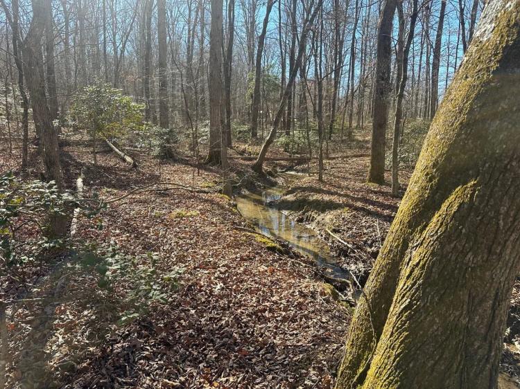 5.06+/-acres Beautiful unrestricted wooded property with a creek