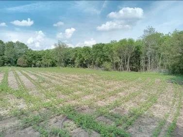 37 Acres in Sunflower County in Indianola, MS