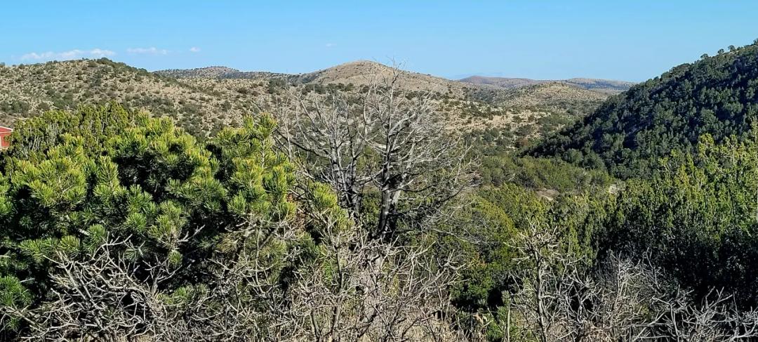 Trees - Huge Views - Timberon Residential Parcel