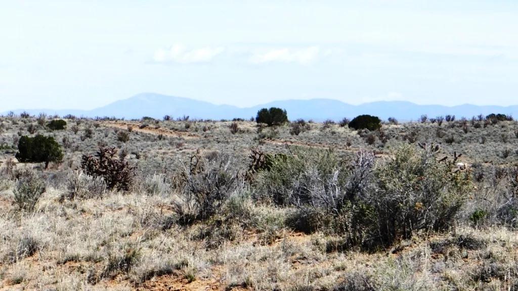Rio Rancho New Mexico Residential Lot - wet weather creek - mobiles allowed
