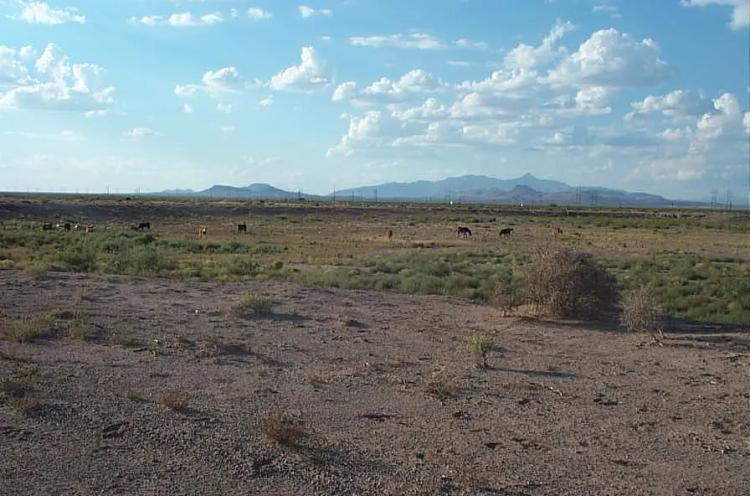 American Southwest - 1 acre & up Homesites - Several options available