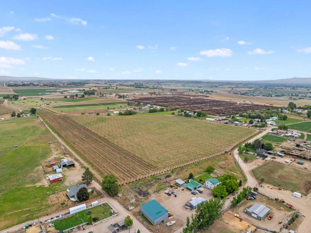 Peckham Road Agriculture Land