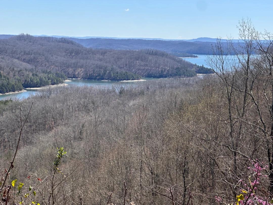 Unrestricted Lakeview Acreage on Dale Hollow Lake