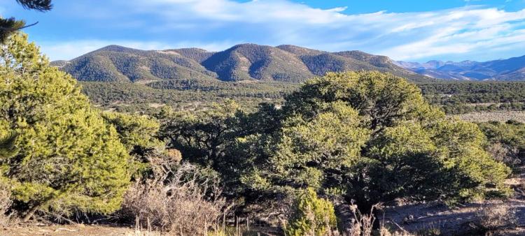 5 acres Southern Colorado land Sangre De Cristo ranches