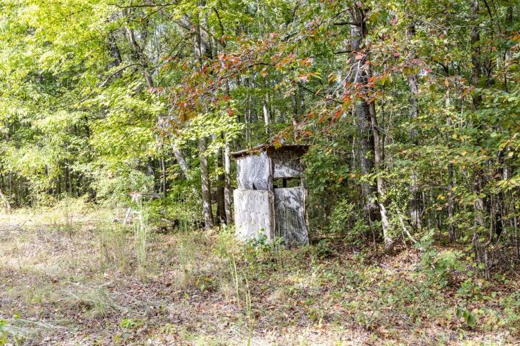 97 acres of prime hunting property 15 minutes from Lake Martin