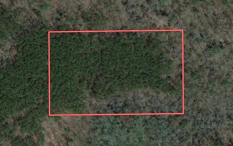 UNDER CONTRACT!!  5.12 acres of Recreational Timberland For Sale in Warren County NC!