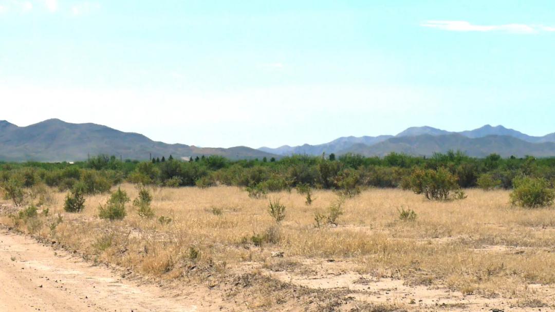 Historic Cochise County * Classic Arizona Desert