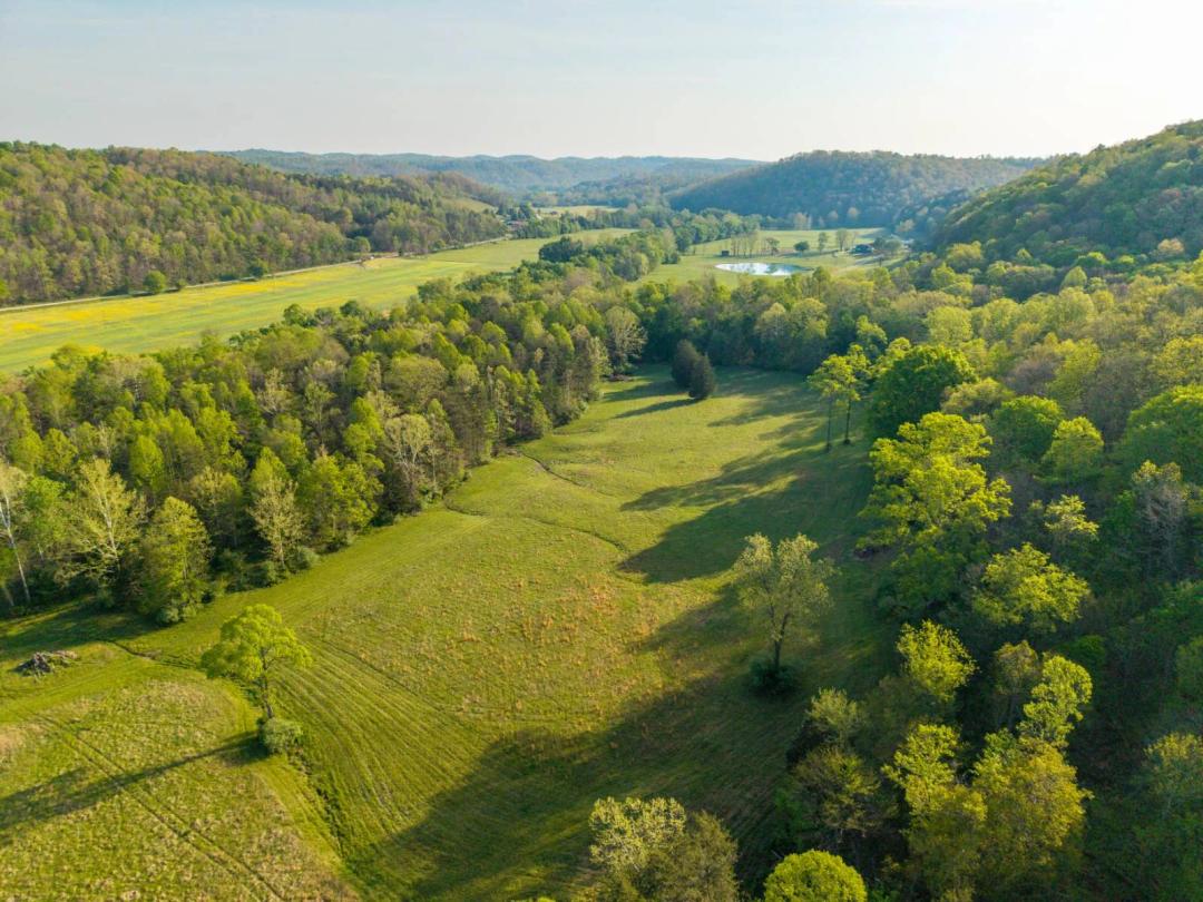 Tygarts Creek Recreational Farm with Build Site