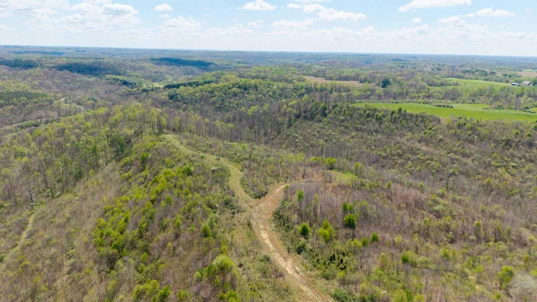 Morgan County Ohio Land for Sale | AMAZING HUNTING TRACT