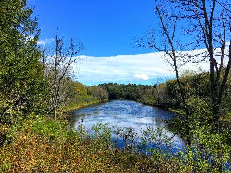 490 acres Riverfront Land on the Grasse River Russell NY