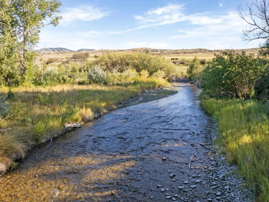 Deep Creek Wildlife Sanctuary