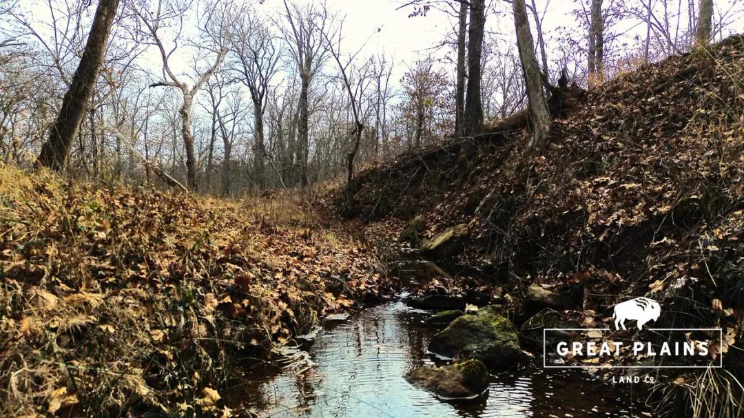 40 acres of prime hunting with a creek!