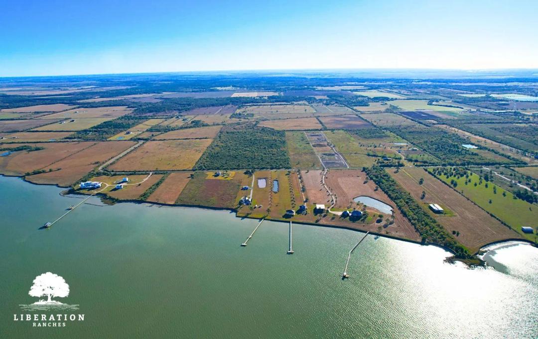 Anahuac Tract 9 | 12+ Acres | Only $15K Down
