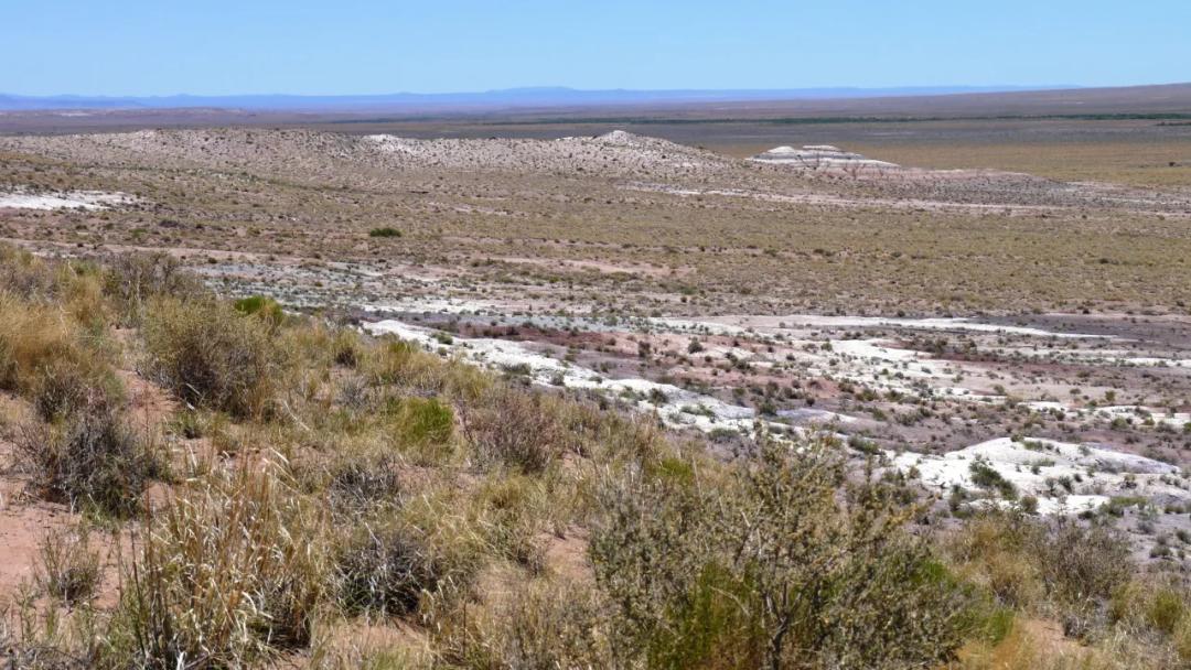 Remote Scenic Arizona Desert - 15 acres North of Joseph City