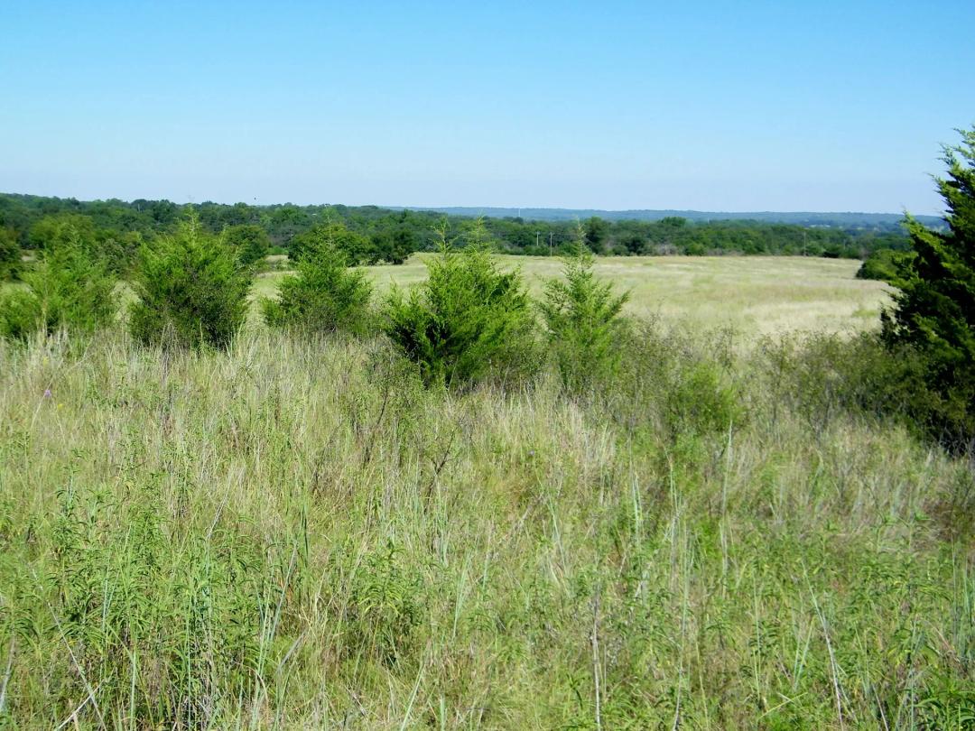 80 Acres Hunting or Grazing Land / Pottawatomie County OK