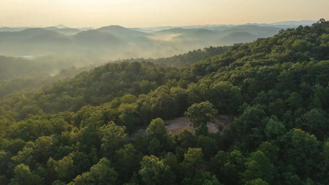 18.09 Acres in Polk County, AR