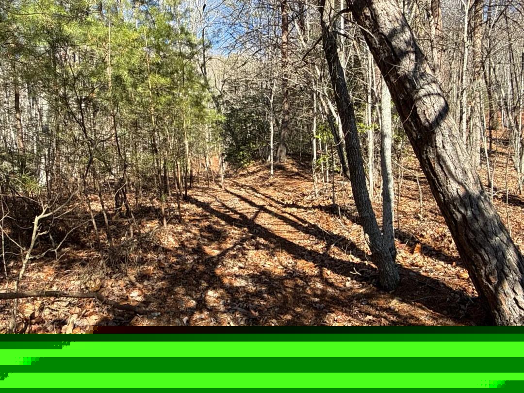 26.84 Acres at 9999 Sealey Lane