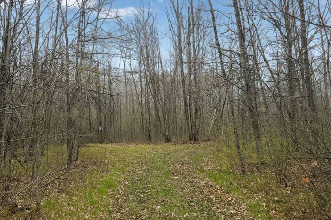 Last Northwoods Lot Near Trego Lake & Namekagon River