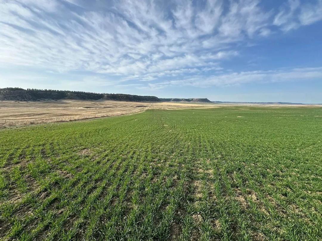 Pine Butte Ranch