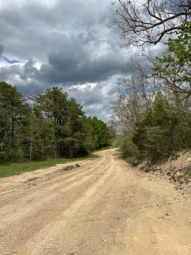 PRIVATE,SECLUDED: 130+/-AC ELLIOTT/LAWRENCE CO. KY LINE $269,900