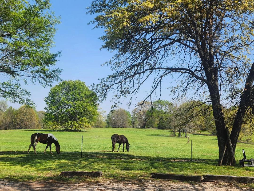 Bennington acreage