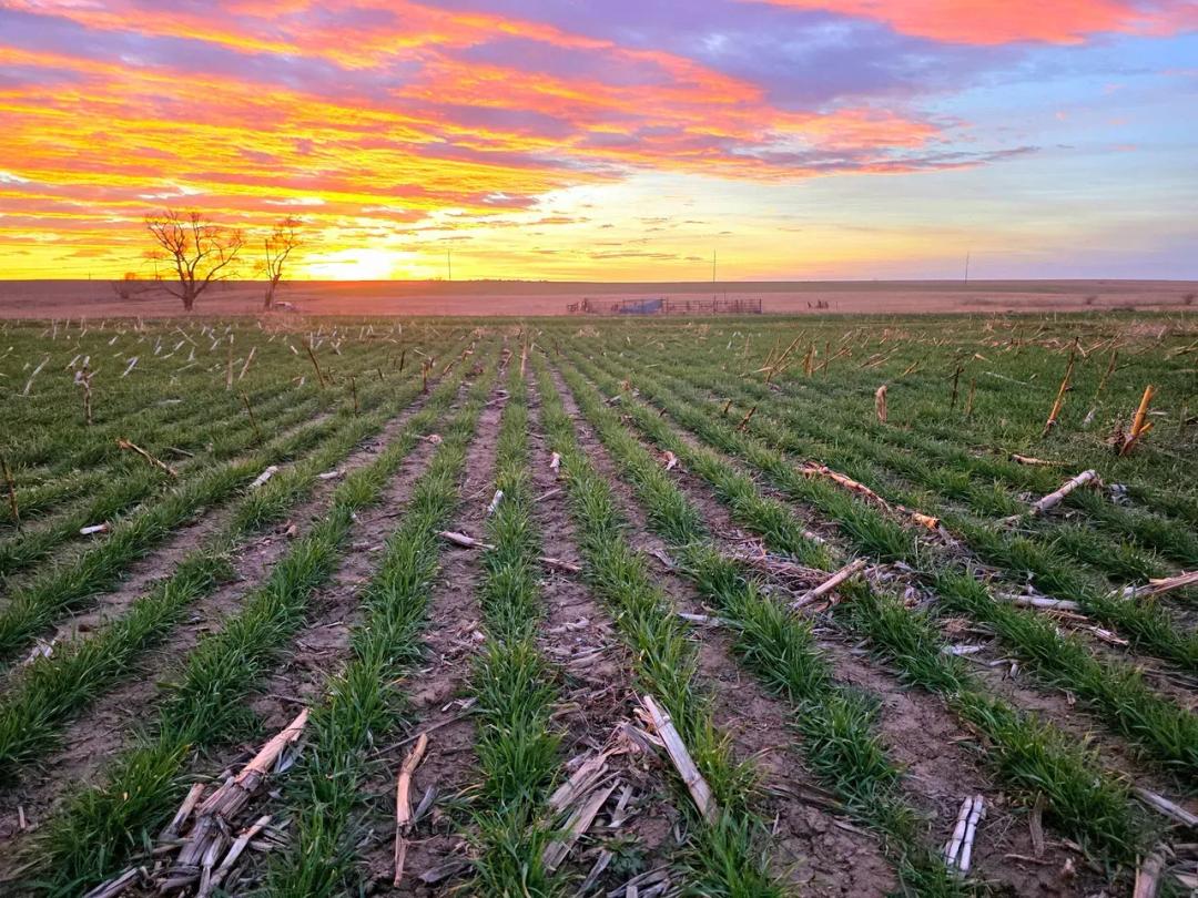 Section of Prime Cropland/Pasture with Mostly Class II Soils