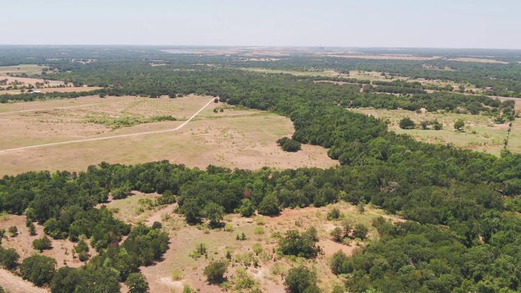 408 Acres in Milam County