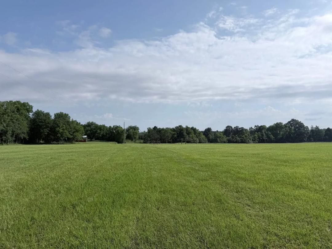34 Acres w/ Fencing, Utilities & Prime Homesite - Livestock Ready