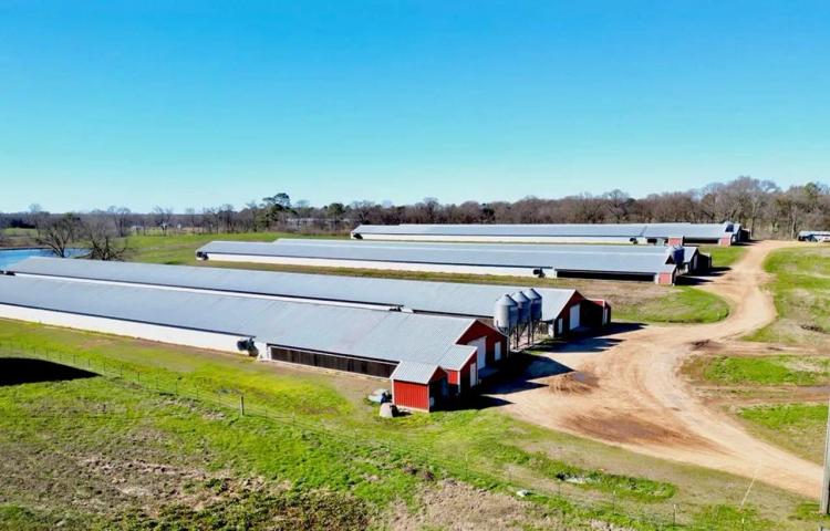 Mississippi Poultry 6-House Broiler Farm for Sale