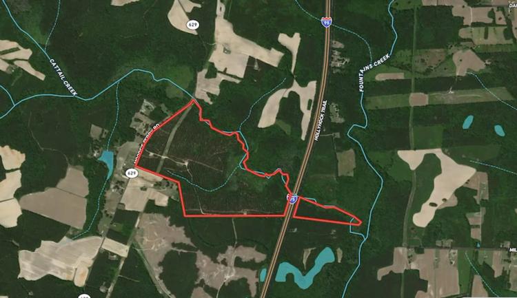 MARKET BASED PRICE IMPROVEMENT!!  158 Acres of Timberland For Sale in Greensville County Virginia!