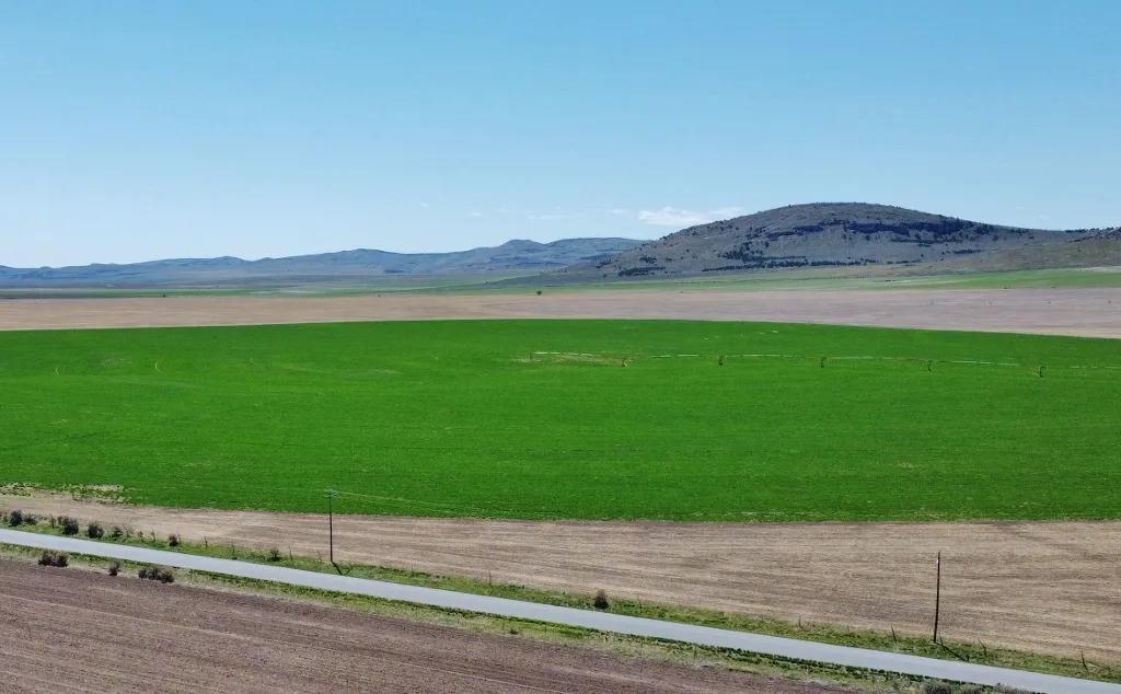 UNDER CONTRACT: PRICE REDUCED: Holbrook Farm