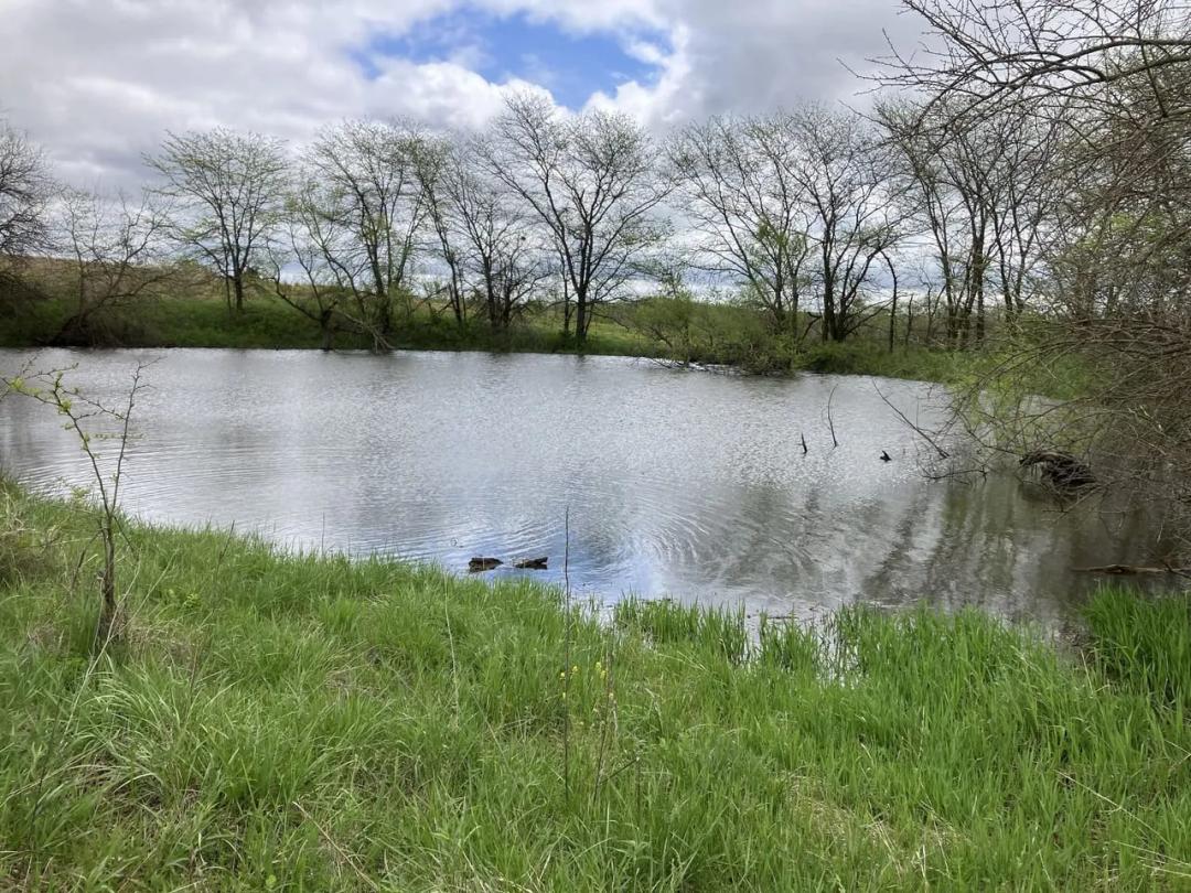 Listing #17621 - 160.00 acres in Wayne County, IA
